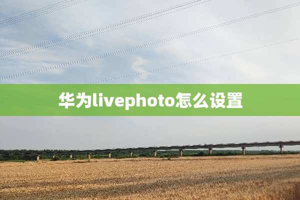 华为livephoto怎么设置
