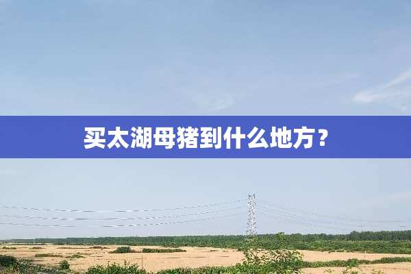 买太湖母猪到什么地方？