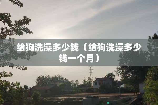给狗洗澡多少钱（给狗洗澡多少钱一个月）