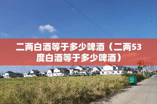 二两白酒等于多少啤酒（二两53度白酒等于多少啤酒）
