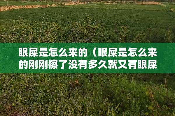 眼屎是怎么来的（眼屎是怎么来的刚刚擦了没有多久就又有眼屎了表示什么）