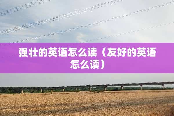 强壮的英语怎么读（友好的英语怎么读）
