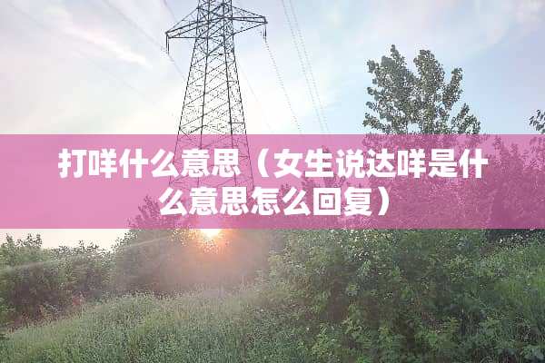 打咩什么意思（女生说达咩是什么意思怎么回复）