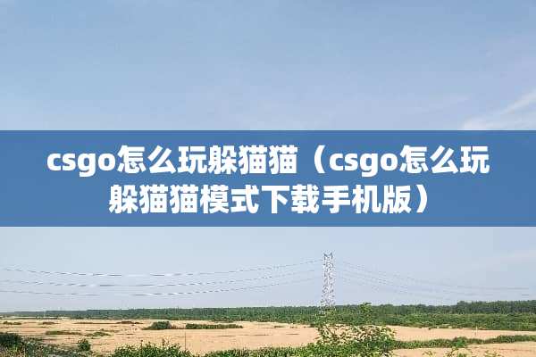 csgo怎么玩***（csgo怎么玩***模式下载手机版）