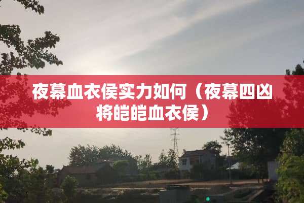 夜幕血衣侯实力如何（夜幕四凶将皑皑血衣侯）