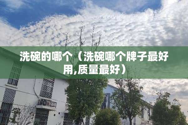 洗碗的哪个（洗碗哪个牌子最好用,质量最好）