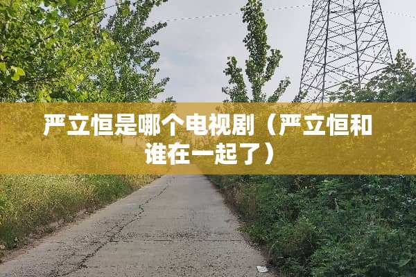 严立恒是哪个电视剧（严立恒和谁在一起了）