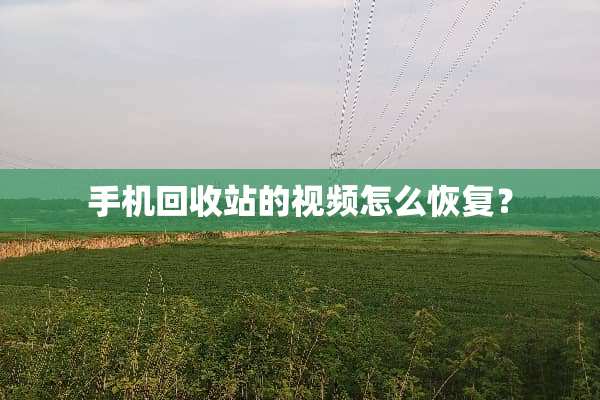 手机回收站的视频怎么恢复？