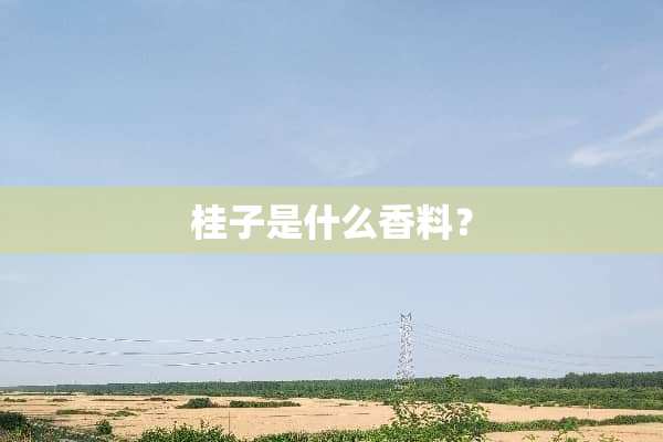 桂子是什么香料？