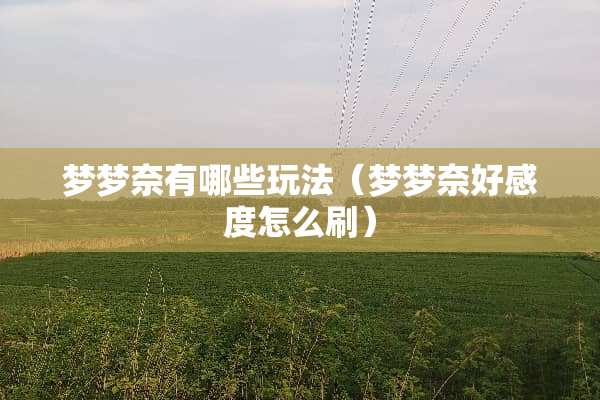 梦梦奈有哪些玩法（梦梦奈好感度怎么刷）