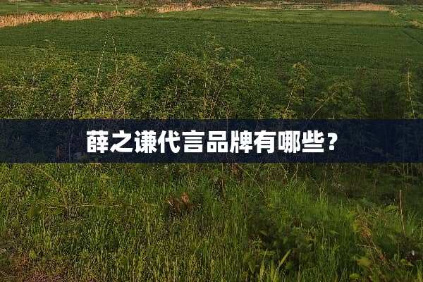 薛之谦代言品牌有哪些？