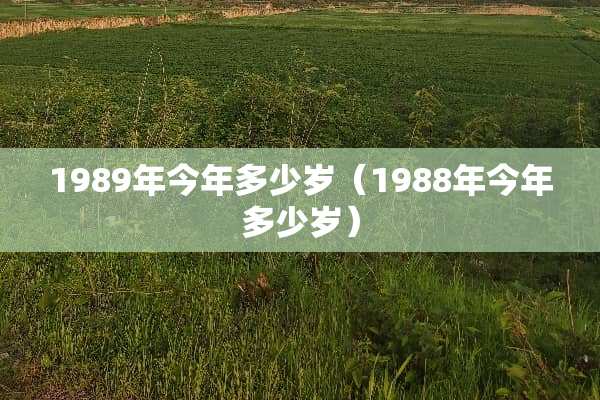 1989年今年多少岁（1988年今年多少岁）