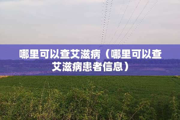 哪里可以查***（哪里可以查***患者信息）