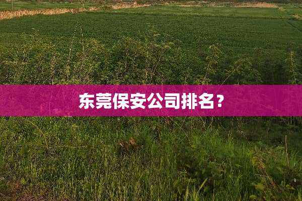 东莞保安公司排名？