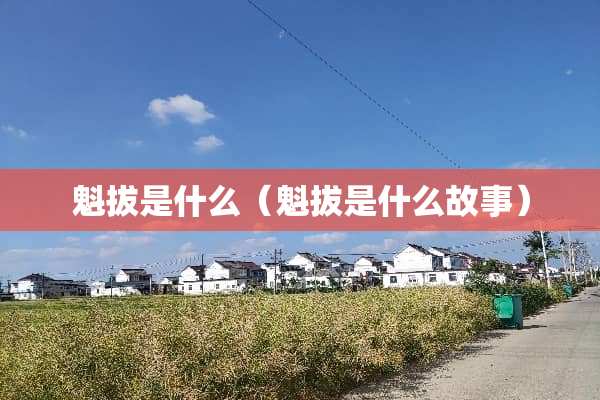 魁拔是什么（魁拔是什么故事）
