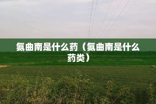氨曲南是什么药（氨曲南是什么药类）
