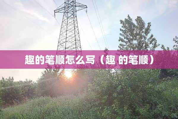 趣的笔顺怎么写（趣 的笔顺）