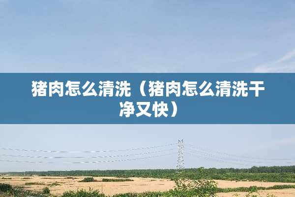 猪肉怎么清洗（猪肉怎么清洗干净又快）