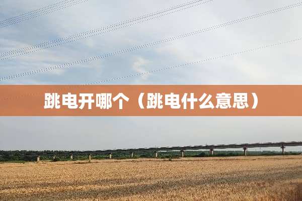 跳电开哪个（跳电什么意思）