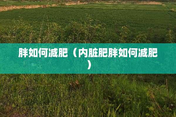 胖如何减肥（内脏肥胖如何减肥）