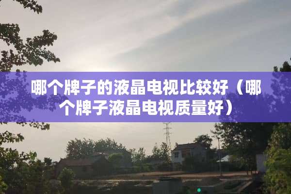 哪个牌子的液晶电视比较好（哪个牌子液晶电视质量好）