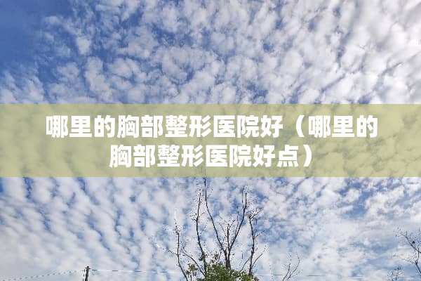 哪里的**整形医院好（哪里的**整形医院好点）
