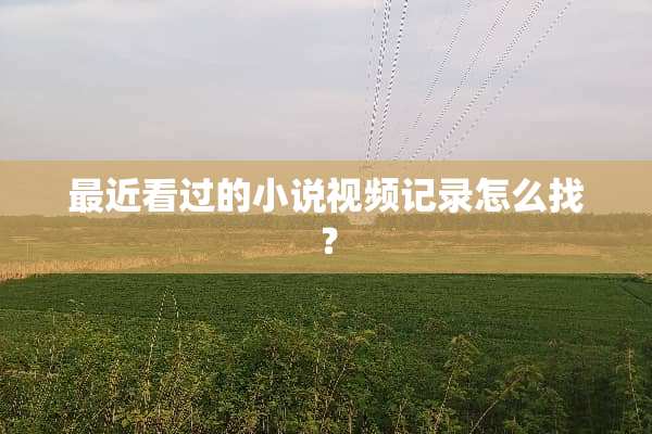最近看过的小说视频记录怎么找？