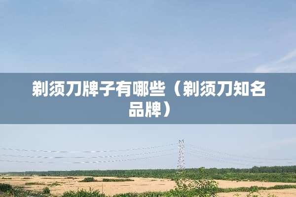 剃须刀牌子有哪些（剃须刀知名品牌）
