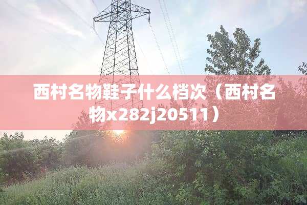 西村名物鞋子什么档次（西村名物x282j20511）