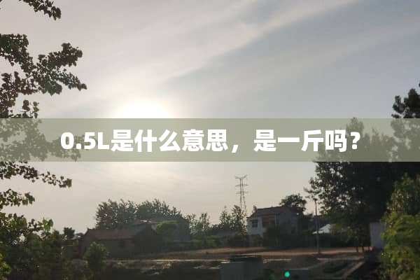0.5L是什么意思，是一斤吗？