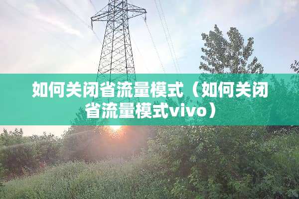 如何关闭省流量模式（如何关闭省流量模式vivo）