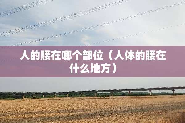 人的腰在哪个部位（人体的腰在什么地方）