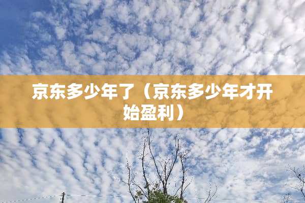 京东多少年了（京东多少年才开始盈利）