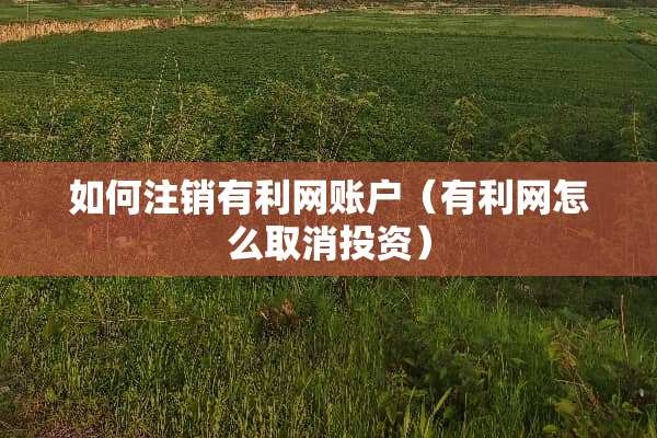 如何注销有利网账户（有利网怎么取消投资）