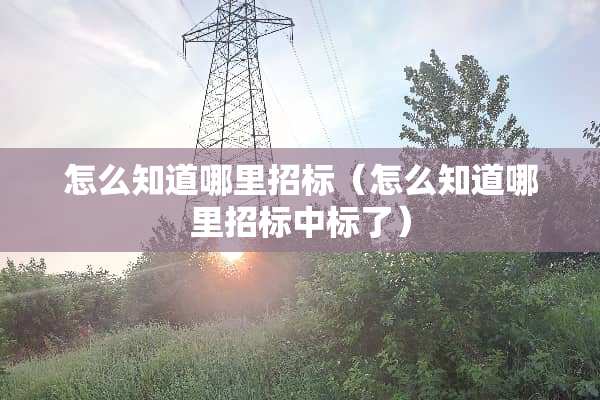 怎么知道哪里招标（怎么知道哪里招标中标了）