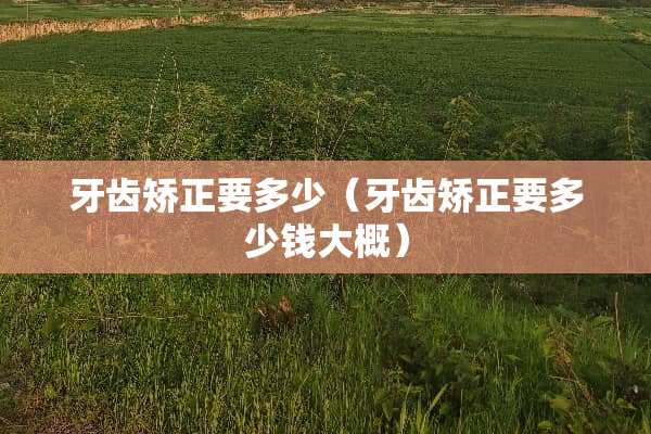 牙齿矫正要多少（牙齿矫正要多少钱大概）