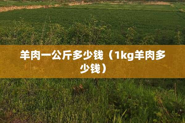羊肉一公斤多少钱（1kg羊肉多少钱）