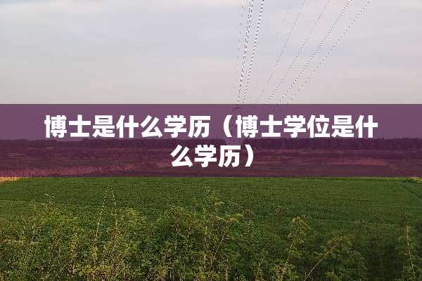 博士是什么学历（博士学位是什么学历）