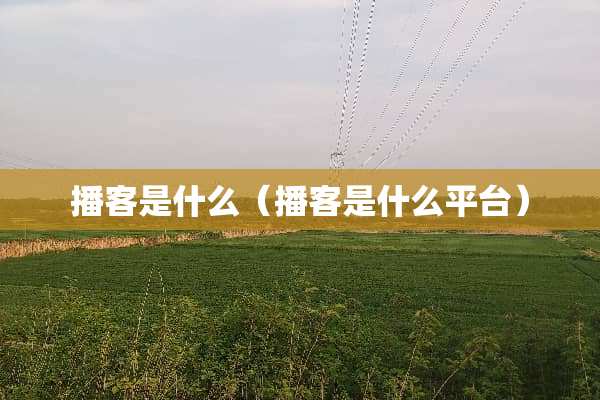 播客是什么（播客是什么平台）