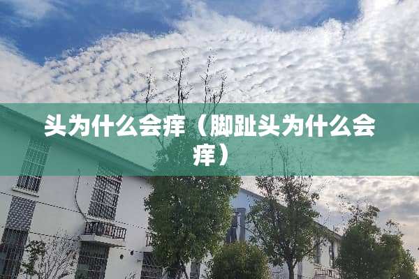 头为什么会痒（脚趾头为什么会痒）