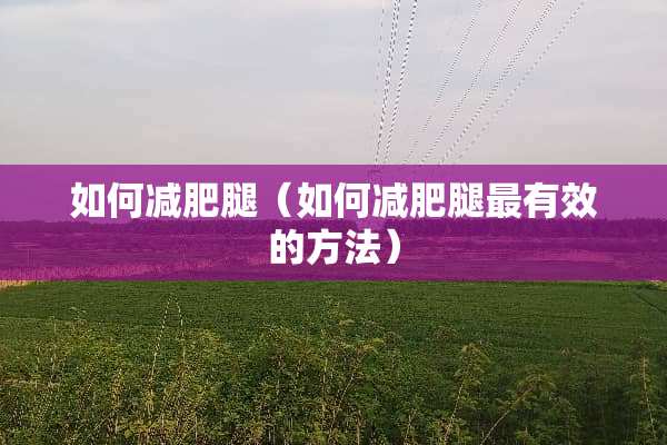 如何减肥腿（如何减肥腿最有效的方法）
