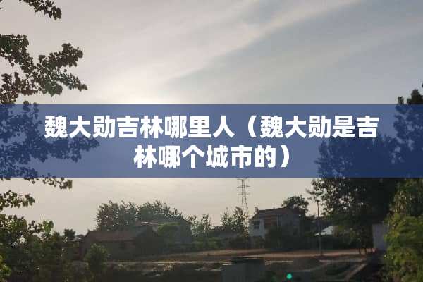 魏大勋吉林哪里人（魏大勋是吉林哪个城市的）