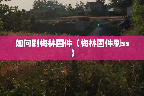 如何刷梅林固件（梅林固件刷ss）