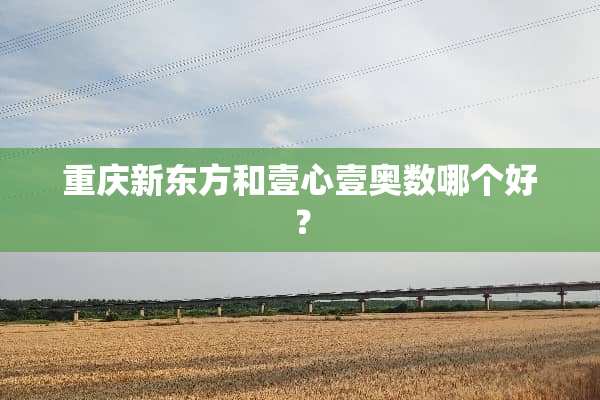 重庆新东方和壹心壹奥数哪个好？