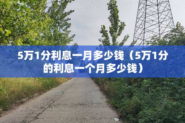 5万1分利息一月多少钱（5万1分的利息一个月多少钱）