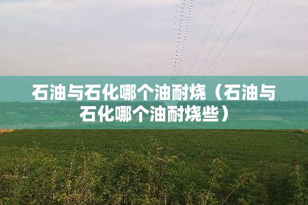 石油与石化哪个油耐烧（石油与石化哪个油耐烧些）