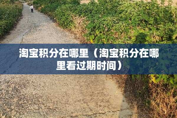 淘宝积分在哪里（淘宝积分在哪里看过期时间）