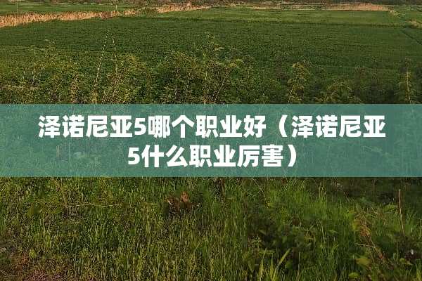 泽诺尼亚5哪个职业好（泽诺尼亚5什么职业厉害）