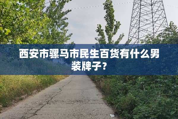 西安市骡马市民生百货有什么男装牌子？