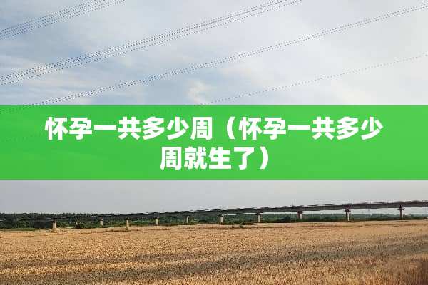 怀孕一共多少周（怀孕一共多少周就生了）